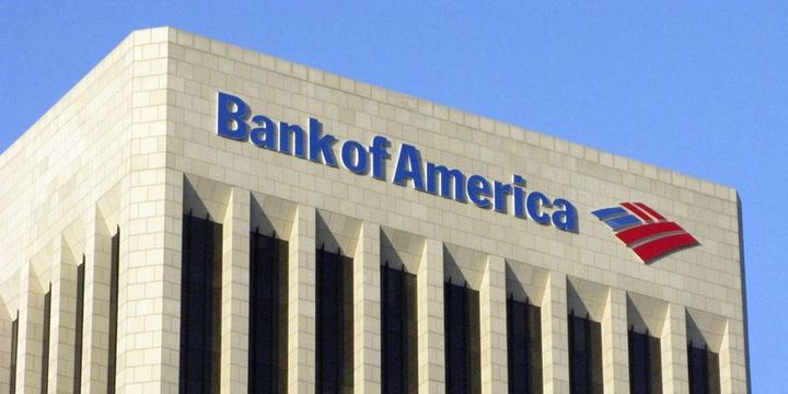 BofA: Yurt içi yerleşiklerin döviz mevduatındaki artış hızlanabilir