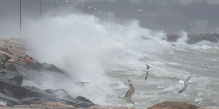 Meteoroloji