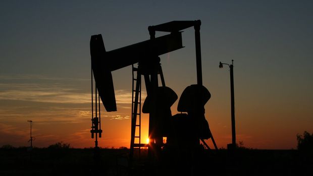 ABD'li petrol devleri üretimlerini artıracak