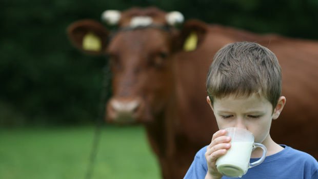 Süt üretimi Mart'ta düştü 