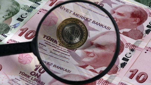 Goldman: Gelişen paralar TL'den ziyade Arjantin pesosuna duyarlı