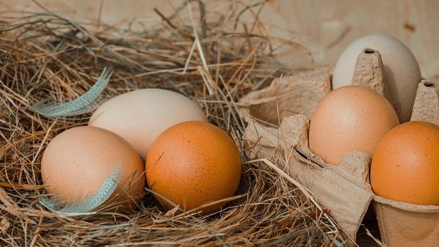 Nisan'da yumurta üretimi azaldı,tavuk eti üretimi arttı