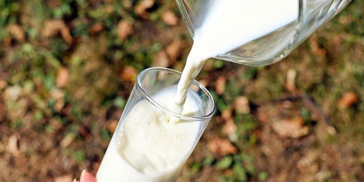 Toplanan inek sütü miktarı nisanda azaldı