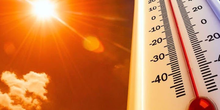 2227725_720x360.jpg