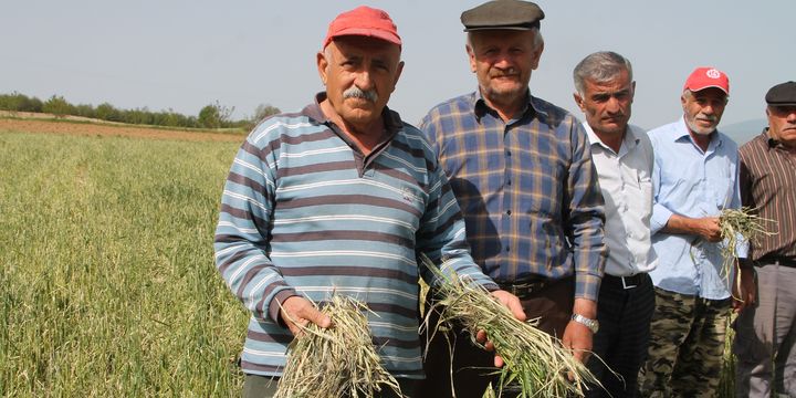 Afet mağduru çiftçiler borçlarının faizsiz ertelenmesini istiyor