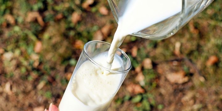 Toplanan inek sütü miktarı Mayıs
