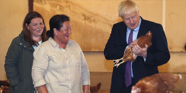 2230312_720x360.jpg