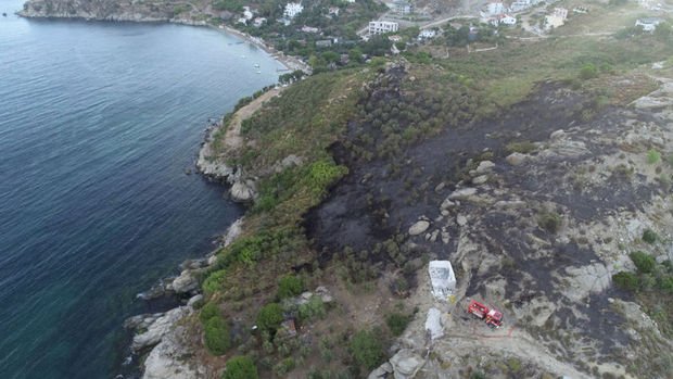 Marmara Adası'ndaki orman yangınında 80 hektar kül oldu