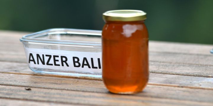 Anzer balında rekolte beklentisi 2 bin ton