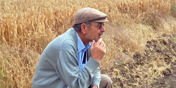 2231860_720x360.jpg