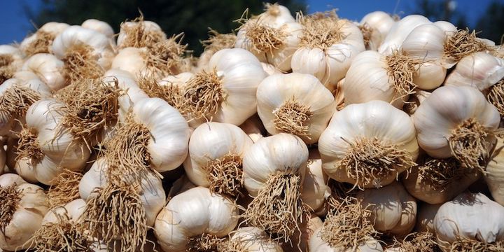 Sarımsak ithalatında gümrük vergisi indirildi