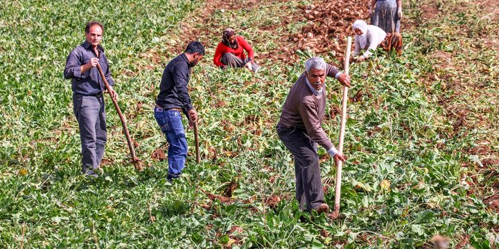 Tarım şurası sonuç bildirgesi, 21 Kasım