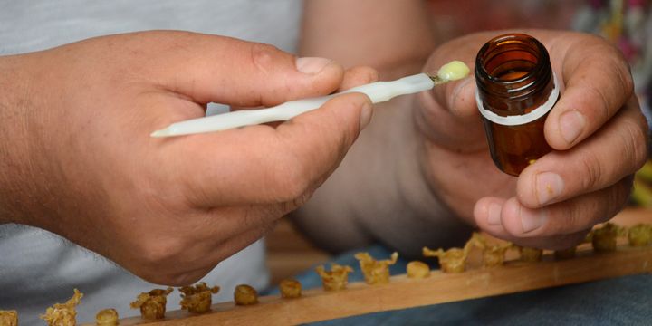 Arı sütünün kilosu 7 bin liraya satılıyor