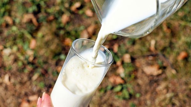 Toplanan inek sütü miktarı Ağustos'ta azaldı