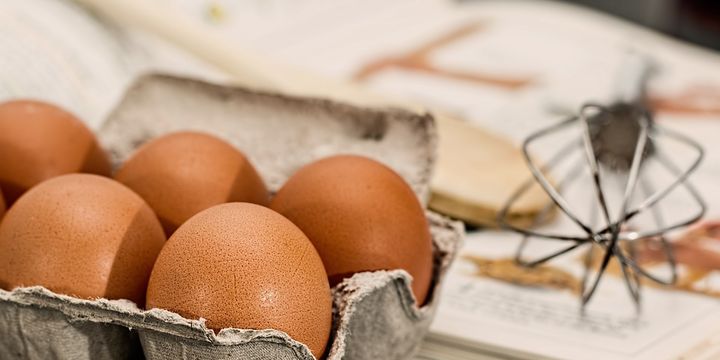 Yumurta ve tavuk eti üretimi Eylül
