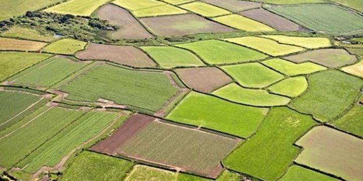18 ilde 10 milyon metrekare Hazine taşınmazı kiralanacak
