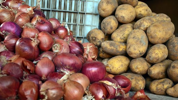 Kuru soğan ve patates, ihracı yasak ve ön izne bağlı ürünler listesine eklendi