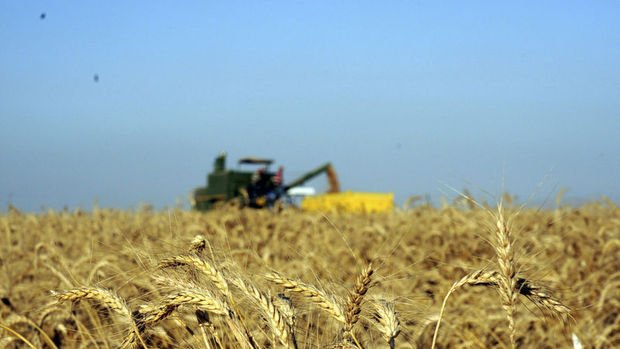 FAO: Küresel gıda fiyatları 2019'da yüzde 1,8 arttı