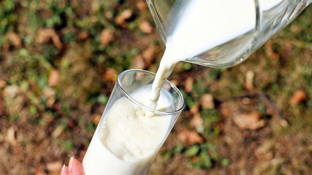 Toplanan inek sütü miktarı Kasım 2019'da azaldı