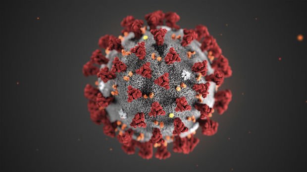 ABD'de 12'nci koronavirüs vakası tespit edildi