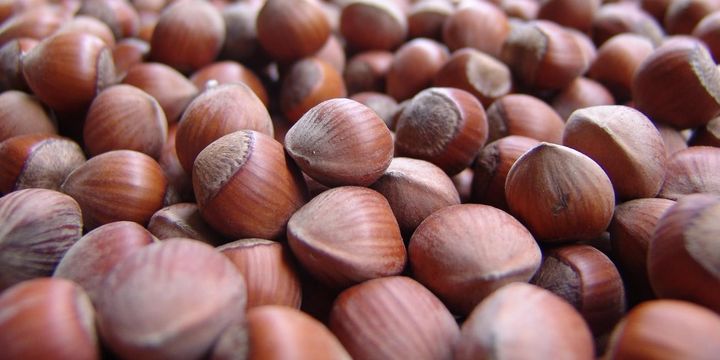 2246836_720x360.jpg