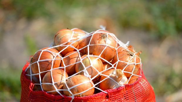 İTO: Nisan'da en fazla soğanın fiyatı arttı