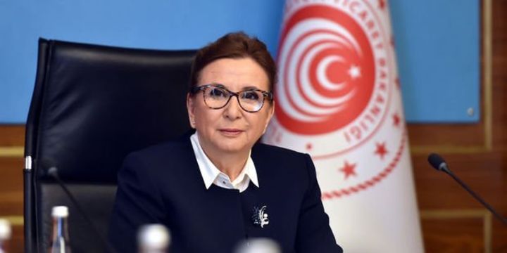 2254782_720x360.jpg