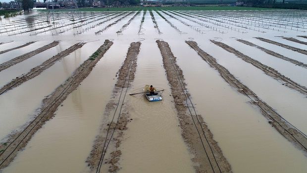 Dolu ve sağanak yağış on binlerce dekar tarım arazisini vurdu