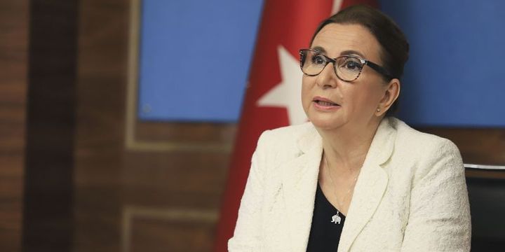 2259441_720x360.jpg
