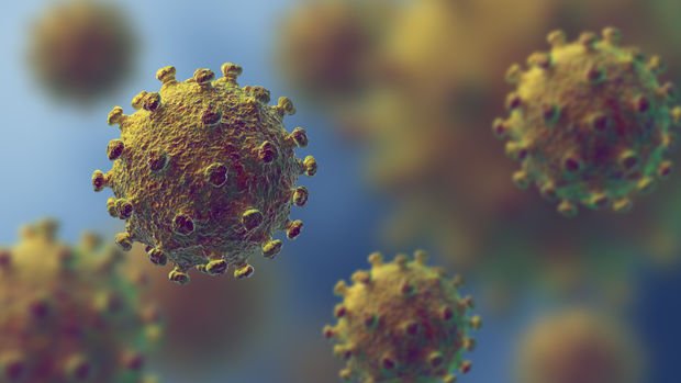 Koronavirüs: Vaka sayısı 17 milyona yaklaştı, aşı çalışmalarında ilerleme kaydediliyor