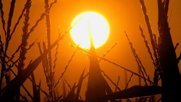 Temmuz ayı, Kuzey Yarımküre'de en sıcak ay olarak kayıtlara geçti