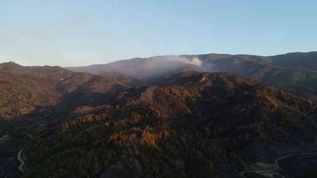Bakan Pakdemirli: Hatay'daki orman yangını kontrol altına alındı