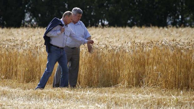 Rusya, tahıl için kalıcı bir yeni ihracat mekanizması başlatıyor