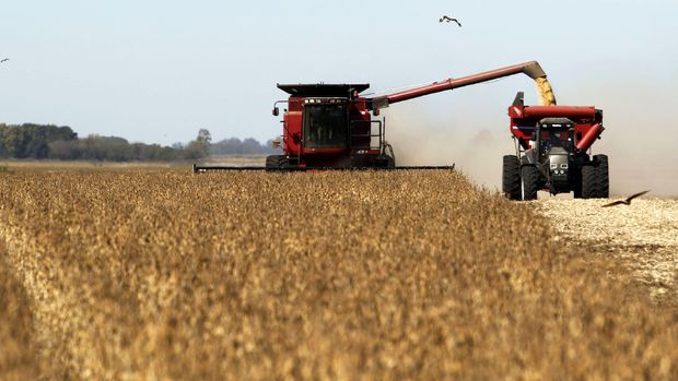 Arjantin: Tahıl ihracatında vergi artışını göz ardı etmiyoruz
