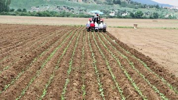 Tarım-ÜFE 19 ayın zirvesini gördü