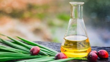 Palm yağı fiyatları 13 yılın en yüksek seviyesinde