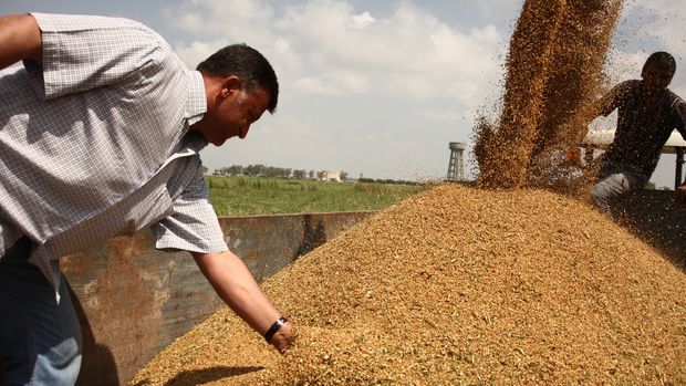 Çiftçi, buğday maliyetini hesaplayıp fiyat beklentisini açıkladı