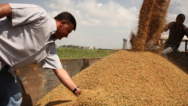TMO buğday ve arpa satış fiyatlarını açıkladı
