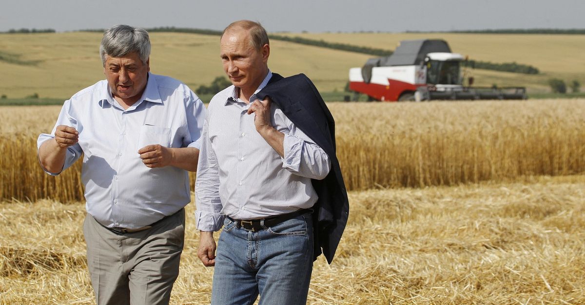 Rusya buğday ihracat vergisini 16 Haziran&#39;dan itibaren artırıyor - Bloomberg HT