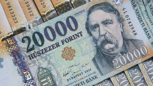 Macaristan Merkez Bankası faiz artırım döngüsüne giriyor