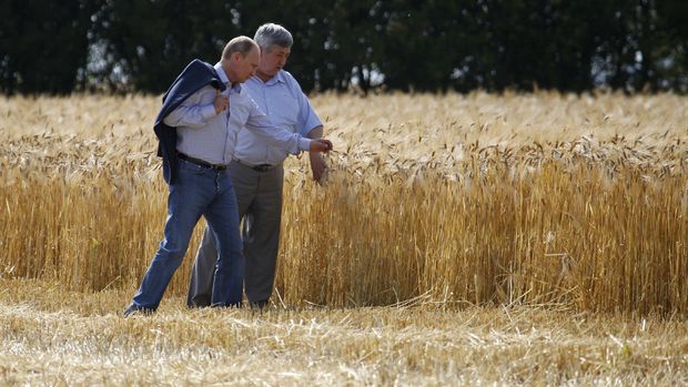 Rusya, buğday ve mısır ihracat vergisini yeniden artırıyor