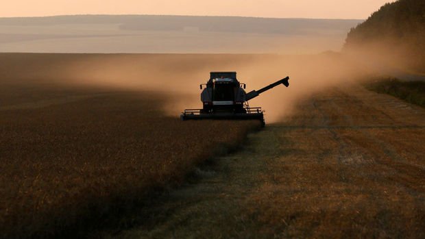 Artan sıcaklıklar buğday fiyatlarını 4 yılın zirvesine çıkardı