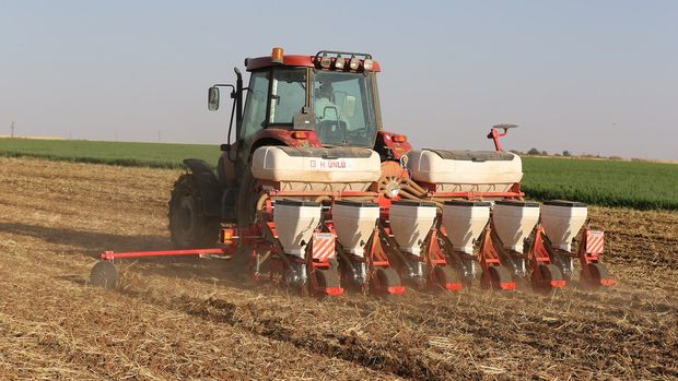 Kuraklık, Mardin Ovası'ndaki çiftçileri soya fasulyesine yöneltti