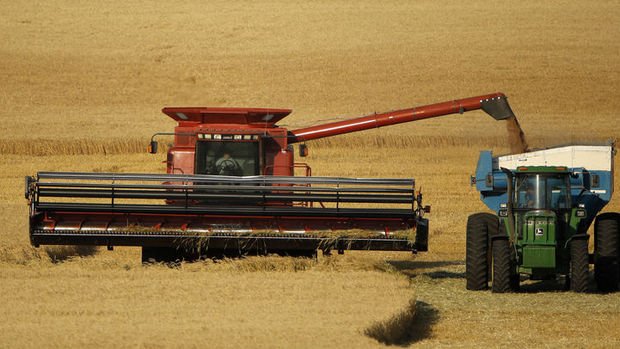 2 iklim olayı buğday fiyatlarını yükseltti 