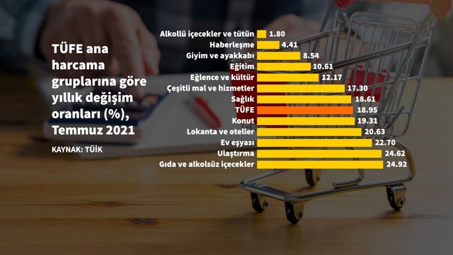 9 grafikte Temmuz enflasyonu