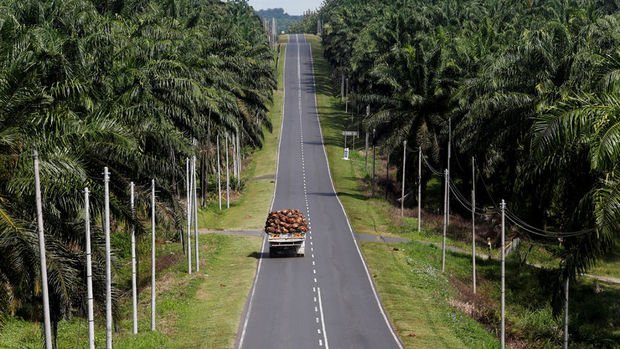 Palm yağı fiyatlarında yeni rekor