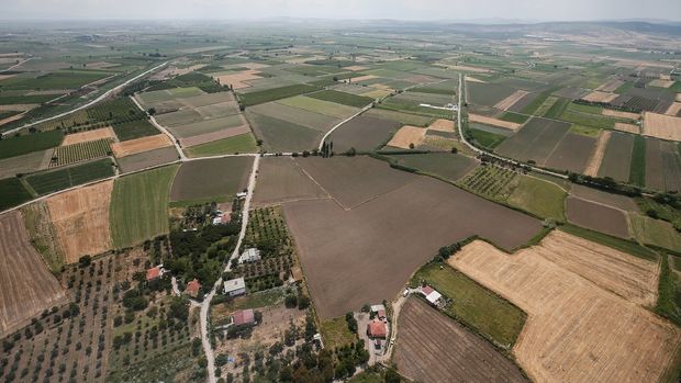 IFAD, İzleme ve Değerlendirme Çalıştayı düzenliyor