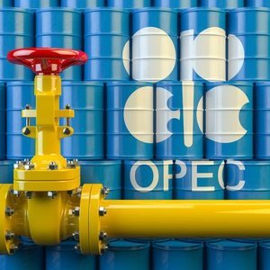 OPEC PETROL TALEP TAHMİNİNİ DÜŞÜRDÜ