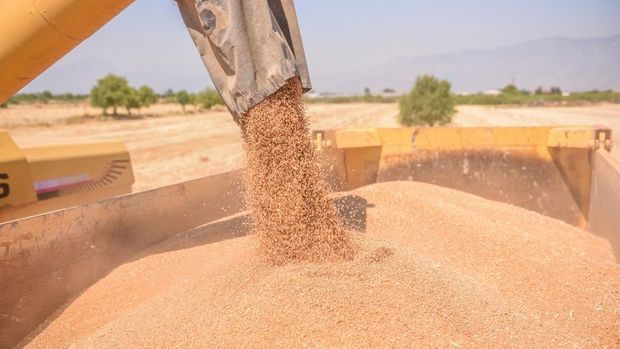 TMO 300 bin ton buğday ithalatı ihalesinde teklifleri aldı