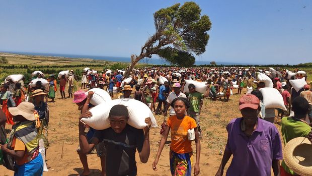 BM: Madagaskar iklim değişikliğine bağlı ilk kıtlığın eşiğinde